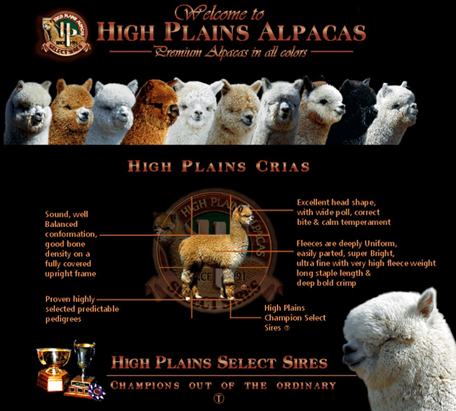 High Plains Crias; excellent head shape, well balanced conformation, good bone density, full covered upright frame, proven highly selected predictable pedigrees
