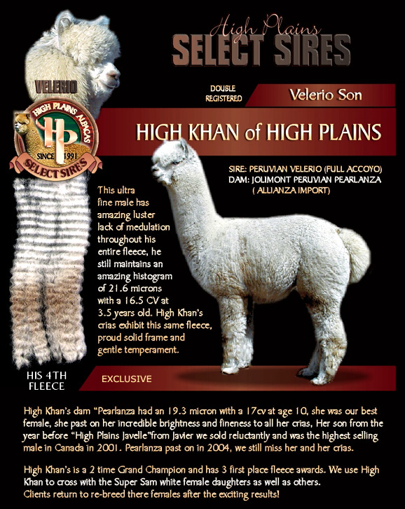 HighKhan - High Plains Alpacas