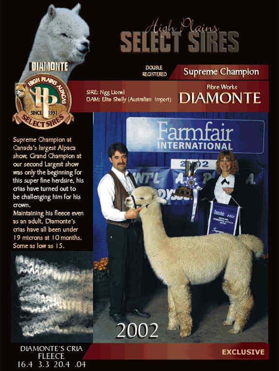 High Plains Alpacas - Diamonte Herdsire